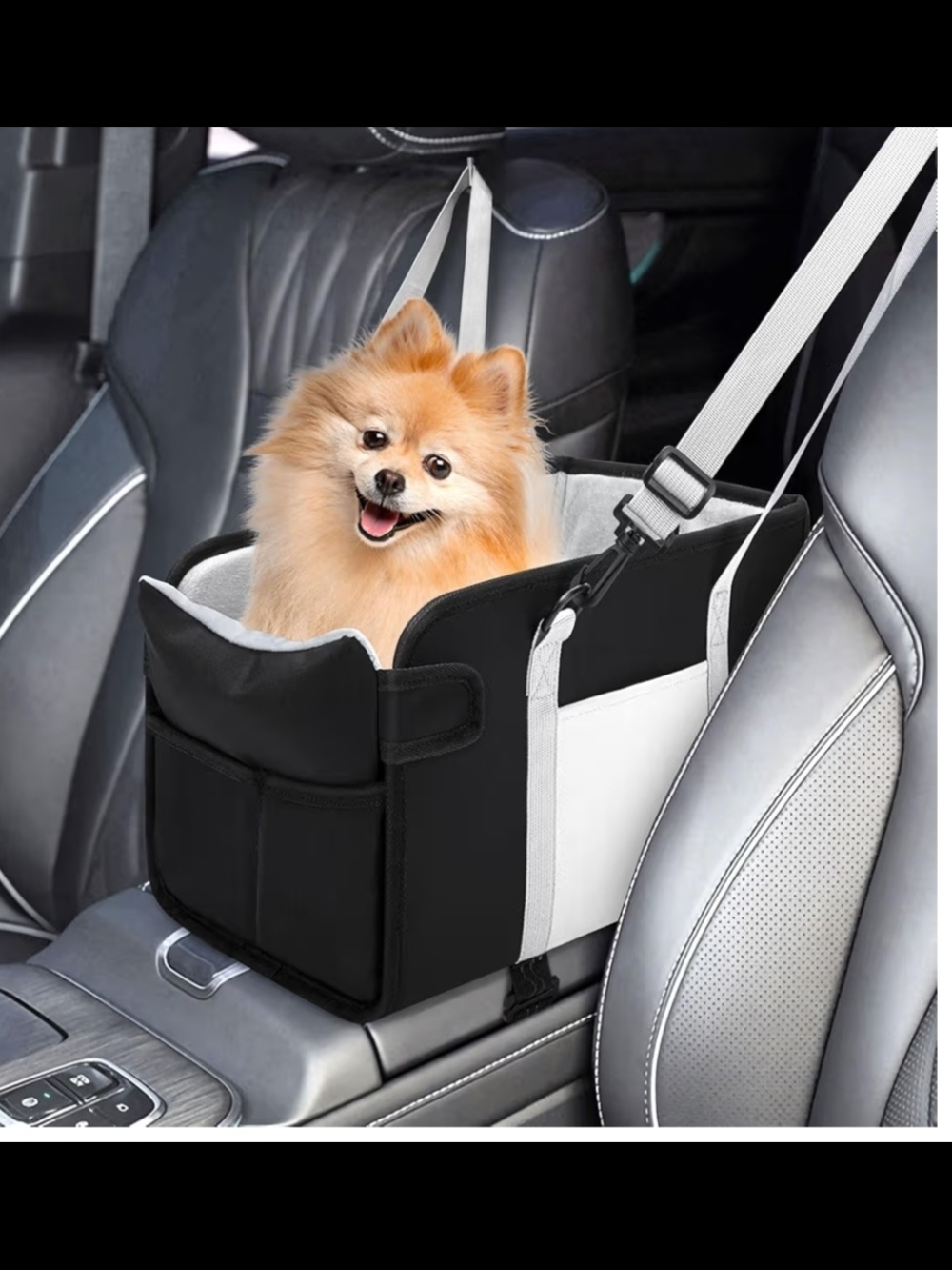 Portable Dog Car Seat for Small Dogs - Pet Booster Seat with Safety Leash